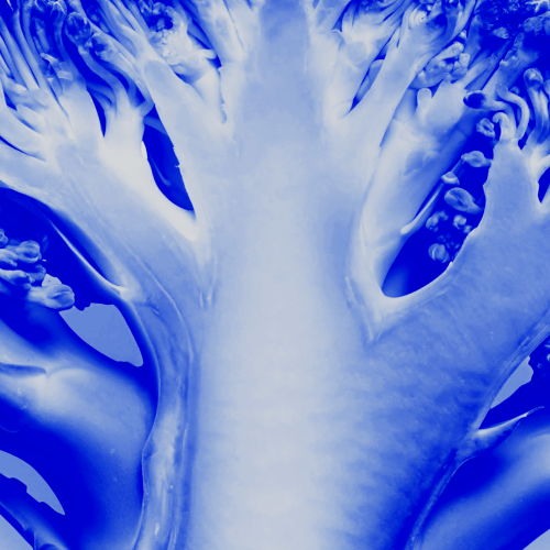 0 Block image